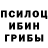 Псилоцибиновые грибы GOLDEN TEACHER Varas Mathias
