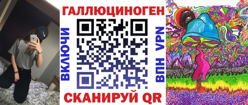 OMG как войти  Бердск  Псилоцибиновые грибы Cubensis  купить наркотик 