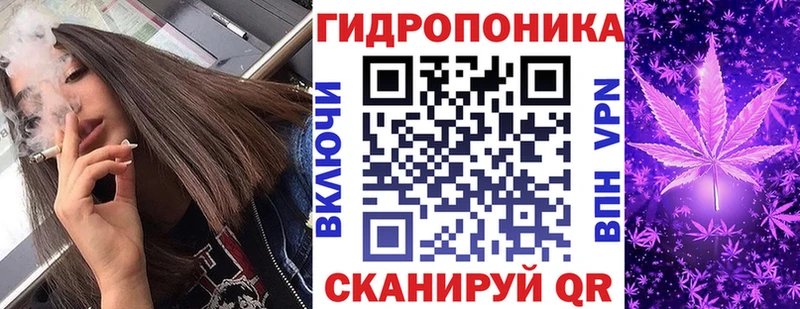 где найти наркотики  Бердск  Каннабис семена 